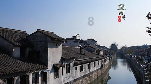 繁花似锦！津城花卉市场开市！